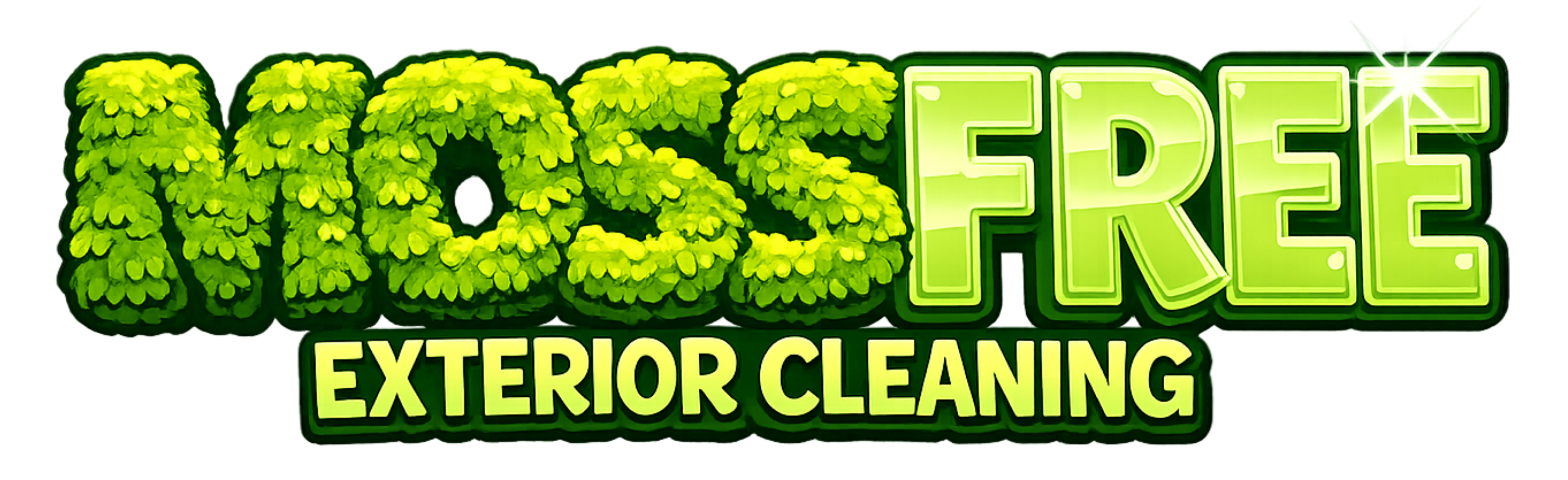 Moss Free Exterior Cleaning